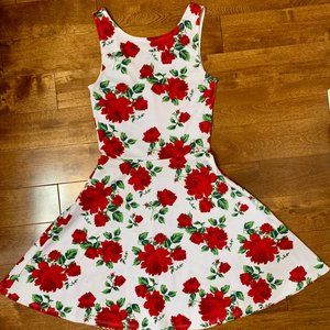 Rose Floral Print H&M Skater Dress